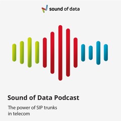 #15 - Make handling high volumes of long-distance and international calls easier