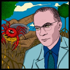 Homens e Cangueijos (Solidão)