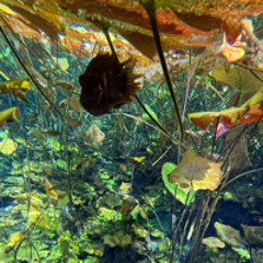 Baul Sessions - OneEighty