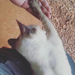 "BUKKUM" Beat by Clayrez (2013)