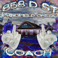 858 D St, Springfield, OR 97477
