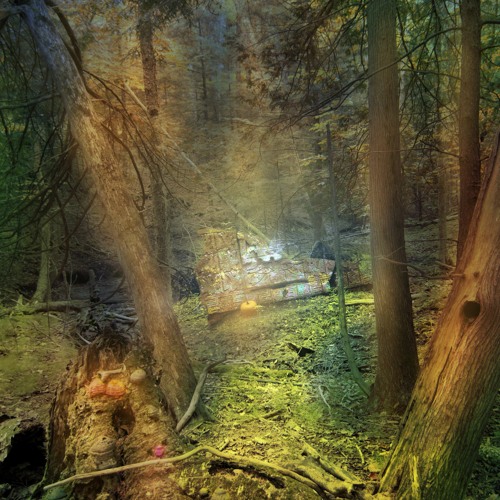 Pumpkin Floating In Dark Forest