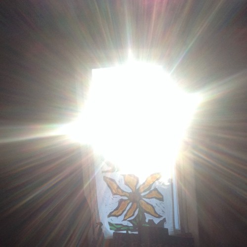 Turn to the Sun and Wind