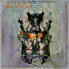 1L33X - SVOORA [ÇARKSR019]