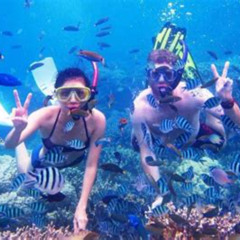 Best Snorkeling Spots In Bali Prices Reviews