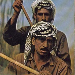 حضيري ابو عزيز _نمنا