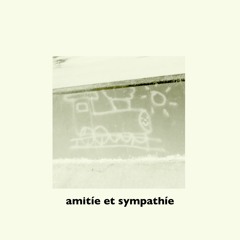 amitie et sympathie - needle in the hay [NIGHTCORE]
