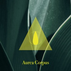 DJ ARZUR MILLER - Aurea Corpus