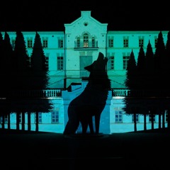 Podul de Flori @ ACT Mapping (OST)