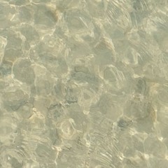 Dive