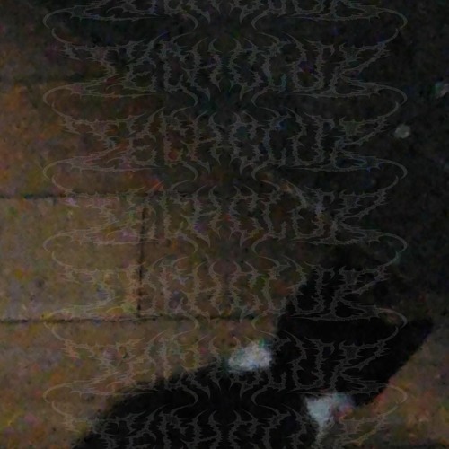 heelflip & lifeisspirals - wrote this song 4 u (reset)