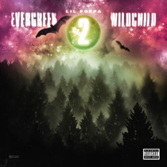 Evergreen Wildchild 2