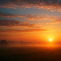 Woke up V.037 (Pre-Vocal-Version I)