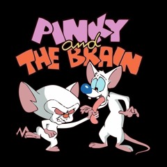 Un paseo con Pinky y cerebro😼