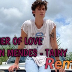 Shawn Mendes, Tainy - Summer of Love(Praveen Remix)(Progressive House Remix)