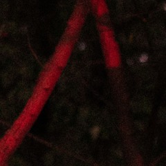 Rust
