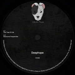 Deephope - Nocturnal Frequencies (Original Mix)