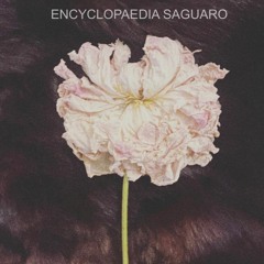 Encyclopaedia Saguaro