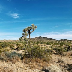 Summer heat mix 2021