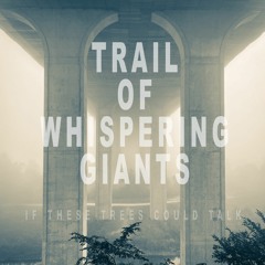 If These Trees Could Talk "Trail of Whispering Giants"