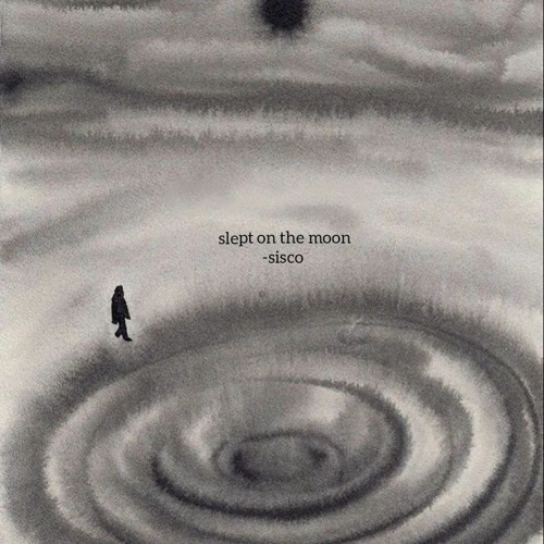 slept on the moon