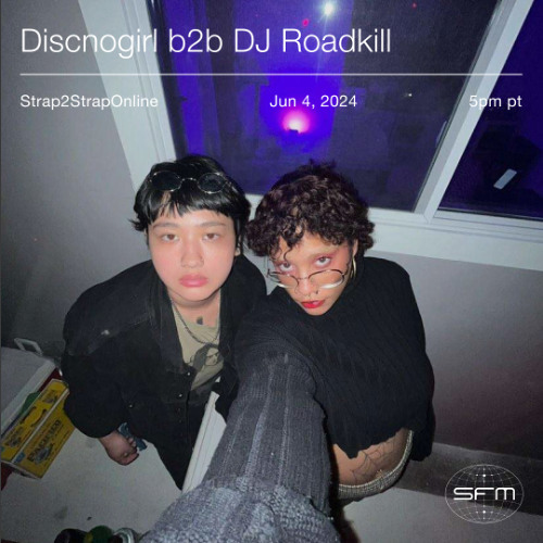 Strapt: DJ Roadkill, Discnogirl