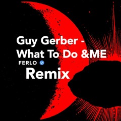 Guy Gerber - What To Do &ME (Ferlo Remix)