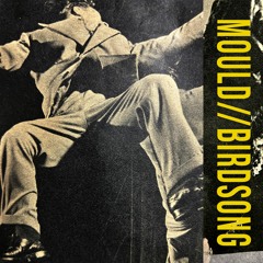 Birdsong