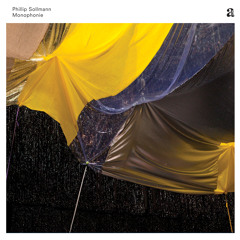 Phillip Sollmann | Rara