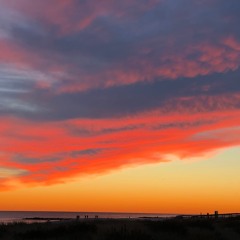 Strawberry Sunsets
