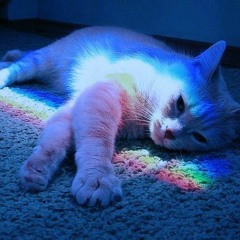 Erkan Suzgun - Gitmemiz Lazım.