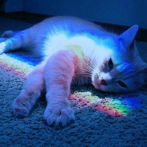 Erkan Suzgun - Gitmemiz Lazım.