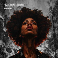 FREE DOWNLOAD: Nico Fat Cat - I'm Going Home