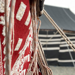 يمّال السعادة ياحياة القشر يناه .