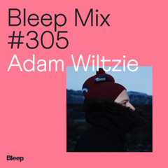 Bleep Mix #305 - Adam Wiltzie