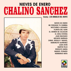 Nieves de Enero (feat. Los Amables Del Norte)