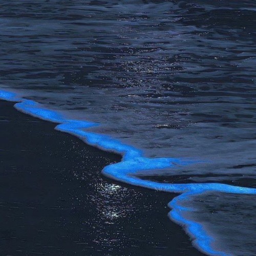 [FFP]plug X Ambient Typebeat "Rehab" prod by.eraluverr