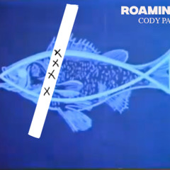 Cody Parent - ROAMIN QT [DAFT RIOT RECORDS]