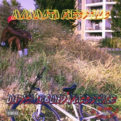 Mammoth Freestyle - Th£ Gaffa (Prod. Komi Kamo)