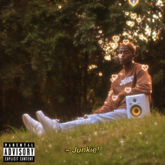 Junkie! (feat. Stephoo) [prod. KamoTheGreat]