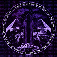 NO PULSE IN PARADISE (ПИЗДА.MP3)