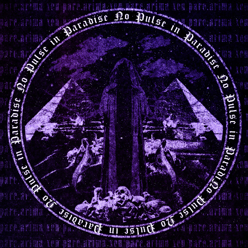 NO PULSE IN PARADISE (ПИЗДА.MP3)