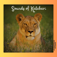 Sounds of kalahari (Nomadic Road promotion)