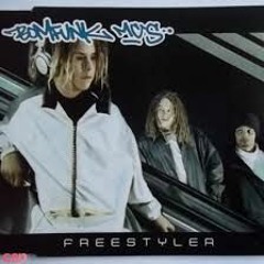 Bomfunk MC's - Freestyler (HEXCODE REMIX)