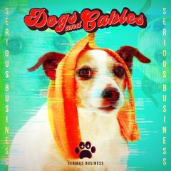 Dogs and cables - Shallow Brains (australian sheperd mix)
