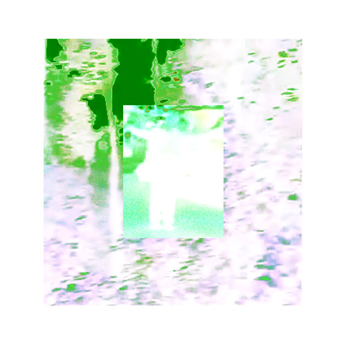 orangesiclebruise
