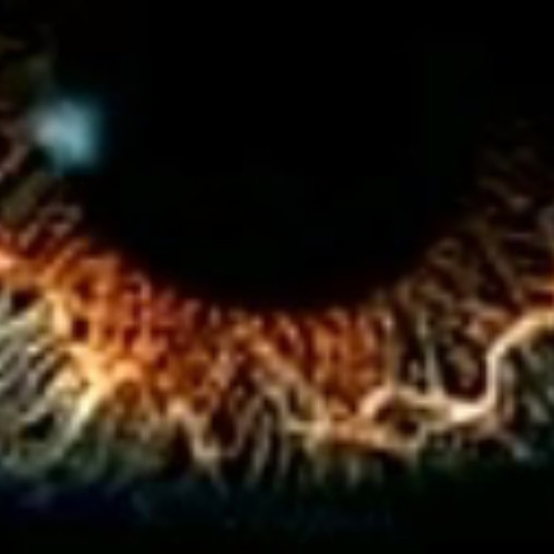 nicht perfgekt aber echt