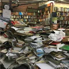 Bernadette Mayer - from 'Midwinter Day'