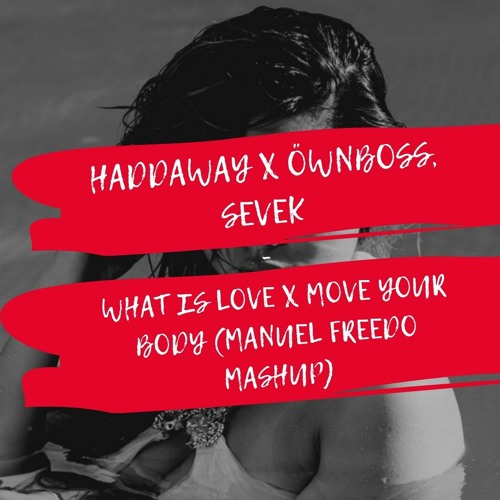 Stream Haddaway X Öwnboss,Sevek - What Is Love X Move Your Body (Manuel  Freedo Mashup) by Manuel Freedo