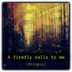 A firefly calls to me (Minimix) [Fragments of Songs]